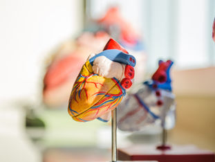 Cardiogen Bioregulator