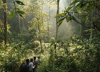 Image by william pietermans