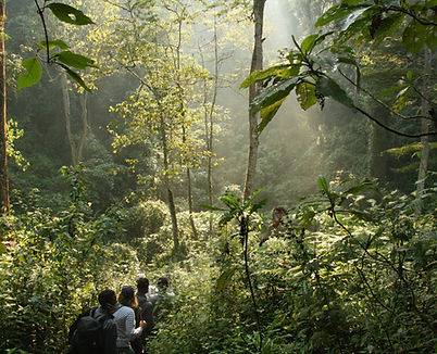 Image by william pietermans