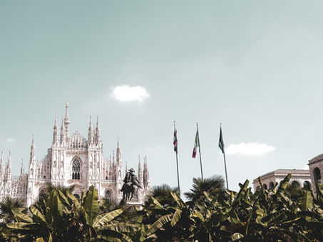 "Companion animals" il primo workshop EAAP sugli animali da compagnia, si terrà in Italia