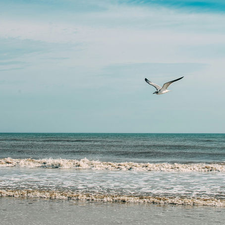 Neptune Beach, Florida