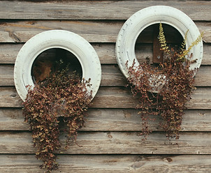Image by "My Life Through A Lens"