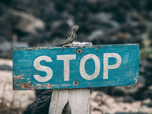 MSC Opera stellt Kreuzfahrten ein