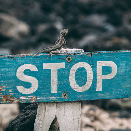 Resisting Mental Health Ward Surveillance with Stop Oxevision