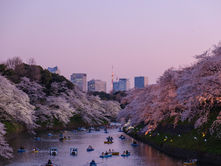 Embracing Hansei: The Power of Reflection and Continuous Improvement