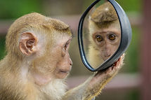 Image by Andre Mouton