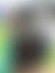 The Secret Spots Of Salzburg