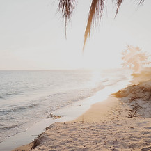 Image by katie manning