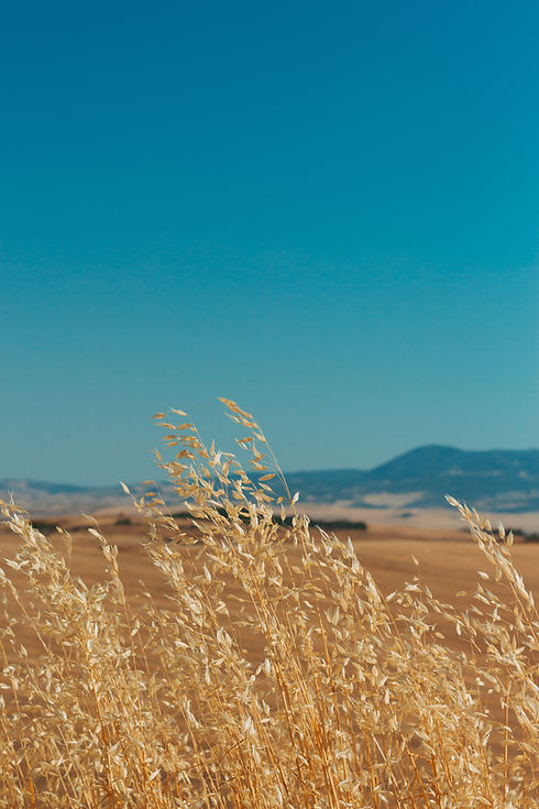Image by Matteo Raimondi