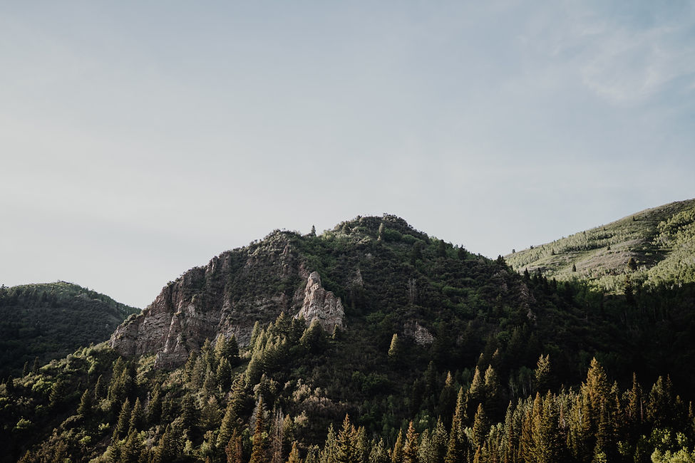 Image by Jj Mendez