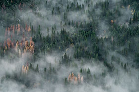 Image by JOHN TOWNER