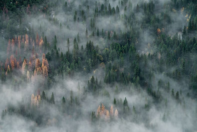 Image by JOHN TOWNER