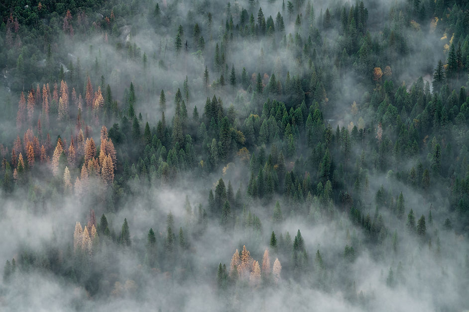 Image by JOHN TOWNER