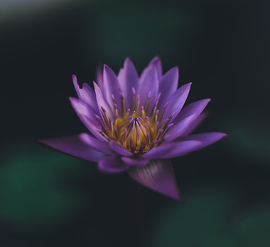 Image de Nahil Naseer