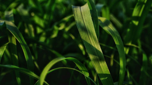 Image by Rajkamal rk