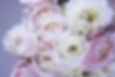 Image by Anna