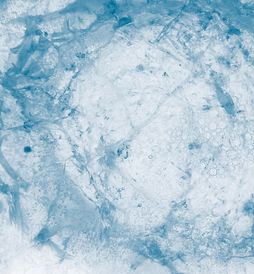 Image by Paweł Czerwiński