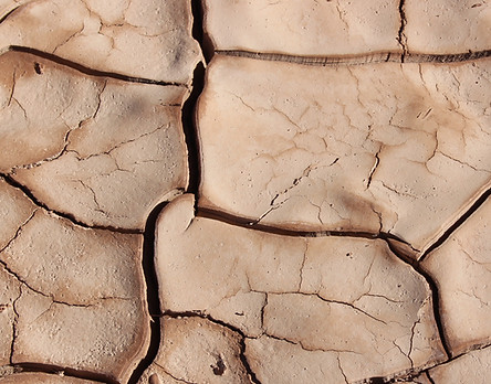 Image by Brad Helmink