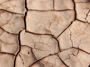 Pericolo desertificazione