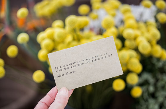 Tell me, what is it you plan to do with your one wild and precious life? - Mary Oliver