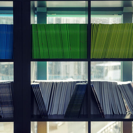 Bookshelves with organized blue, green, yellow, and white books in a sunlit room. The orderly arrangement creates a calm atmosphere.