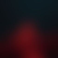 Mein Weihnachtswunsch