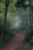 Image de Marco Meyer