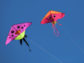 চিল চিল চিলা