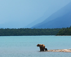 Image by Paxson Woelber