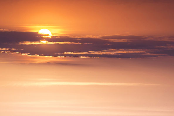 Image by Ant Rozetsky