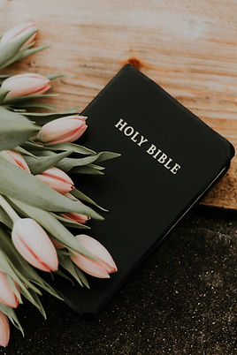 Image by Priscilla Du Preez