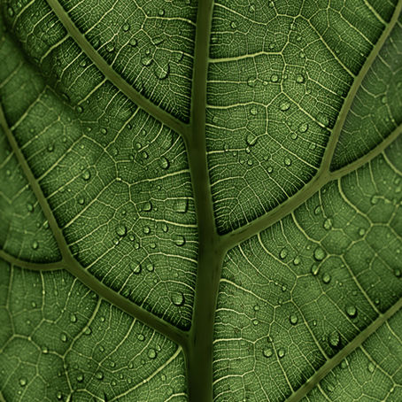 The Top Three Must-Know Topics for GCSE Biology