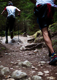 Image de David Marcu
