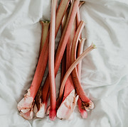 Image by Annie Spratt