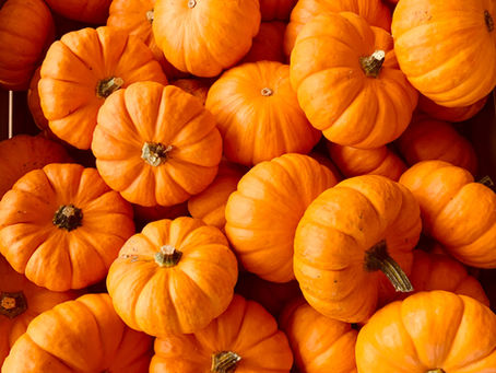 St John’s News 23: Friday 20th October 2023