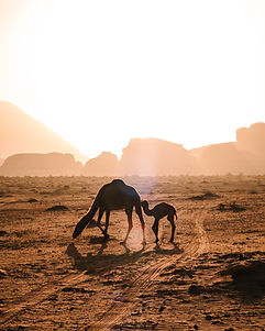 Image by Andrea Leopardi