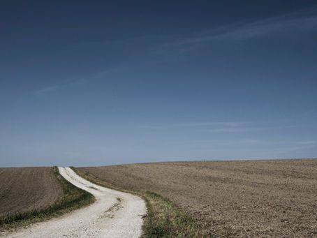 white chalk path through a field