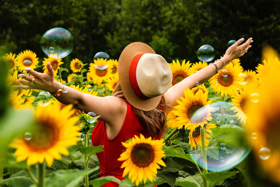 Sunflower Field