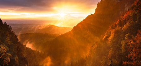 Image by Artem Sapegin