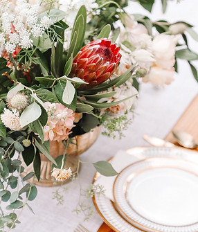 Image by Kelsey Curtis