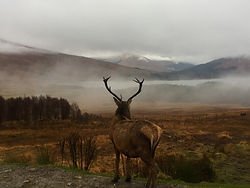 Image by Chris Ponzi