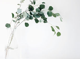 Image by Jazmin Quaynor