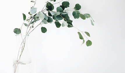 Image by Jazmin Quaynor