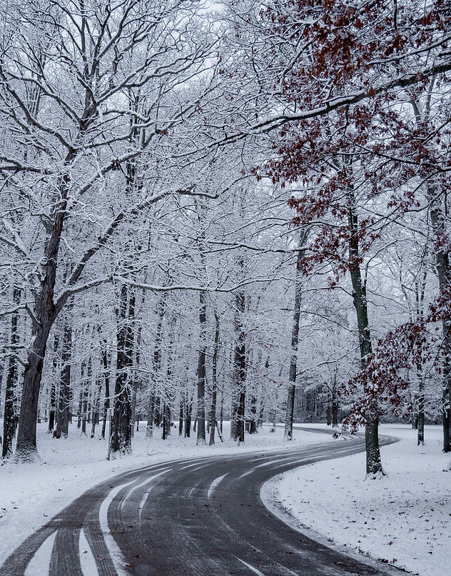 Image by Aaron Burden