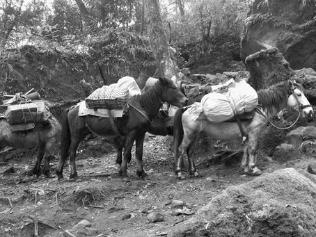 Product Loads – the good, the bad and the ugly