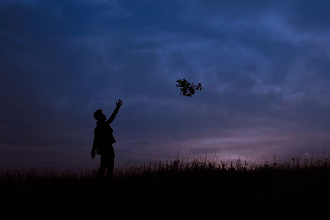 Image by Максим Степаненко