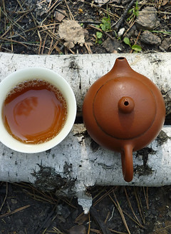 Image by Arseniy Kapran