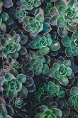 Image by Annie Spratt