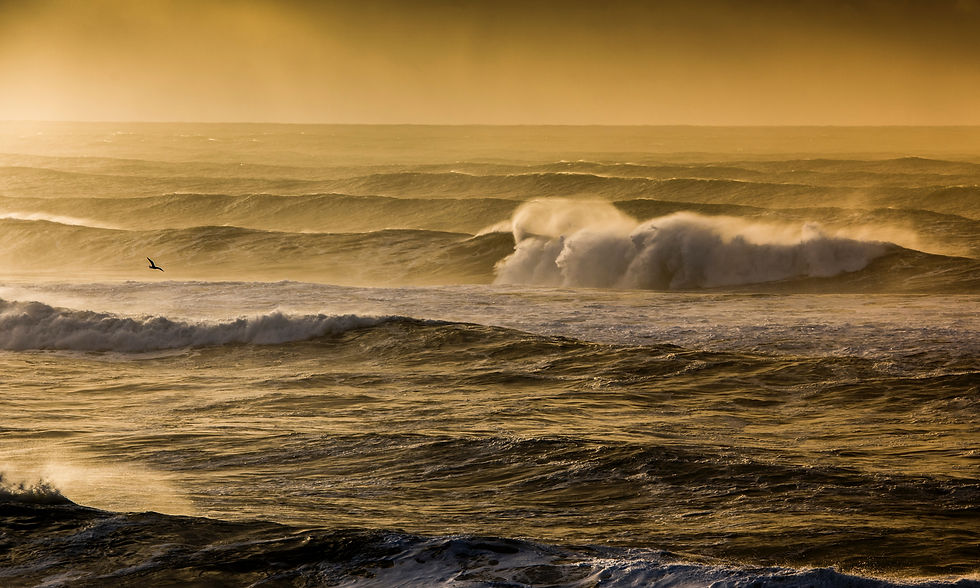 Image by Payton Bissell