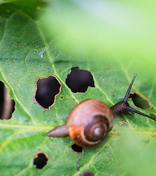 Image by Ante Hamersmit